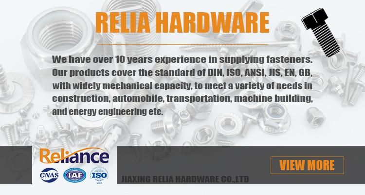 Hot Sale Stainless Steel Drop Forged Turnbuckle Standard DIN1480 for Riggings