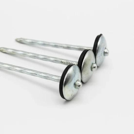 Umbrella Head Roofing Nail/Galvanized Roofing Nails with Washer