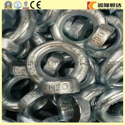 Made in China Ring Nut Forged M4 -M64 Eyebolt