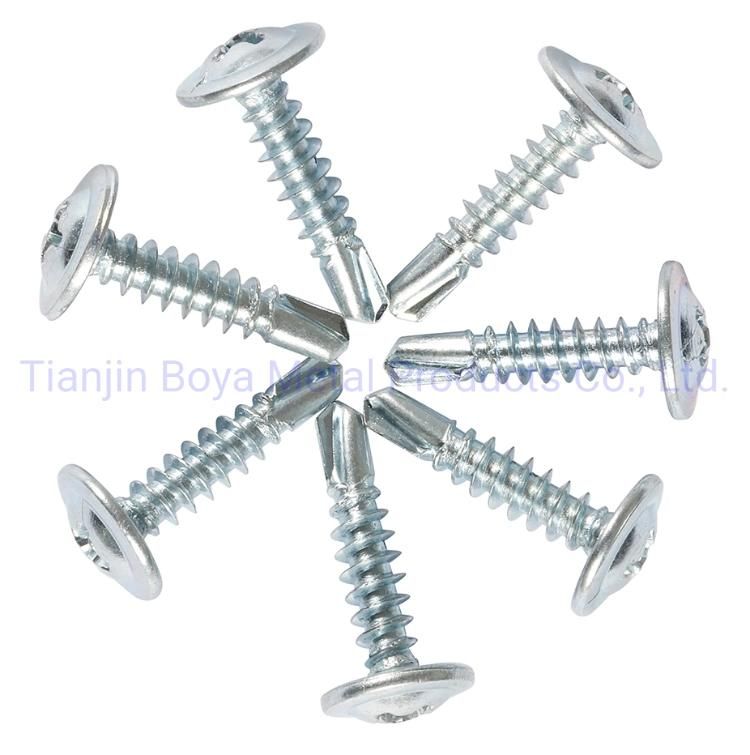 Truss Head Self Drilling Screw/Self Tapping Screw