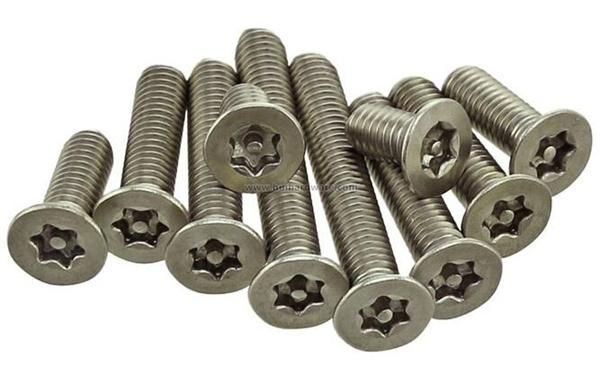 Torx Csk Head Security Machine Screw with Pin