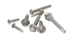 Auto Parts Hardware Self Drilling Screw in Dongguan
