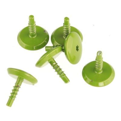 China Manufacturer Fasteners Colorful Plastic Security Screws