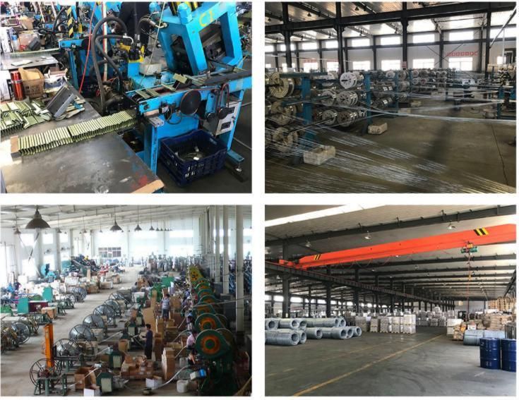 Construction Material Coil Roofing Nail for Wooden Pallets