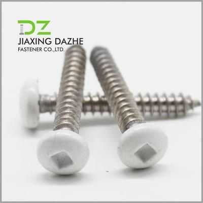 Square Pan Head Stainless Steel Screw Self Tapping Screw