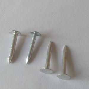 Electro Galvanized Big Flat Head Clout Roofing Nail