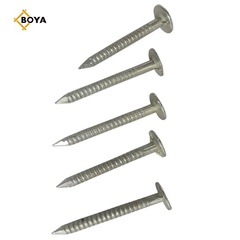 Best Selling Hot Dipped Galvanized Ring Nail with Different Size