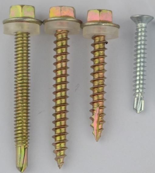 Screw Self Drilling Screw Factory China