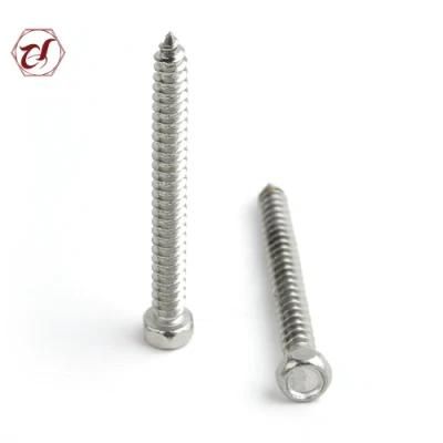 Stainless Steel Screw Common Bolt Tapping A2 304 Screw