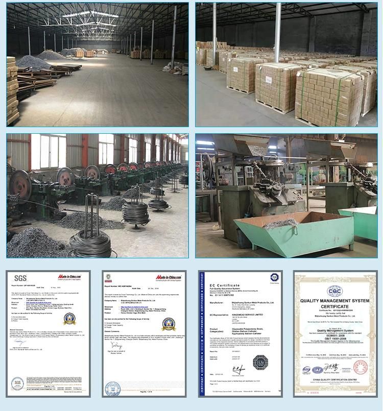 Q195 Iron Wire Common Nail with Factory Price