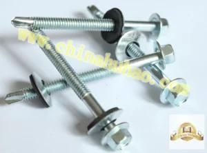 Screw/Self Drilling Screw/Professional Productionhex Head Self Drilling Screw