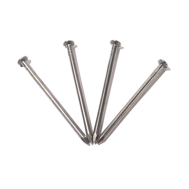 Factory Direct Selling Hot Sale Common Round Iron Wire Nails Common Iron