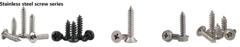 High Quality Stainless Steel 410/304/316 Hexagon Head Tapping Wood Screws DIN7976