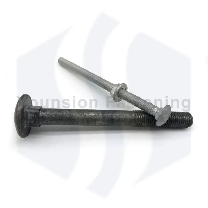 Hot DIP Galvanized Grade 8.8 DIN603 Carriage Bolt