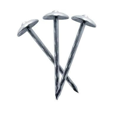 Steel Iron Plain Shank Zinc-Plated Roofing Nail