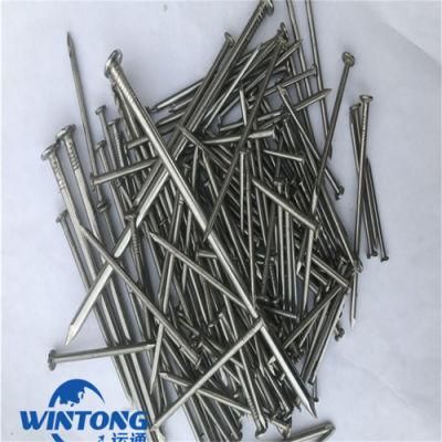 Common Carpenter&prime; S Nails/Common Nail