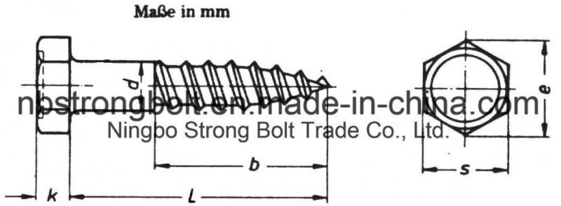 DIN571 Hex Head Lag Screw with Zinc Plated More Than 10 Years Produce Expricence Factory