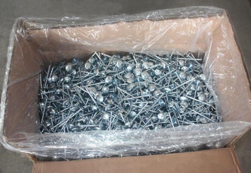 Iron Nails Galvanized Umbrella Head China Roofing Nail in Guangzhou