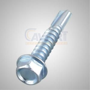 Self-Drilling Screw