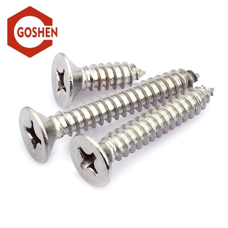 Stainless Steel 304 Self-Tapping Screws with Cross Recess Drive