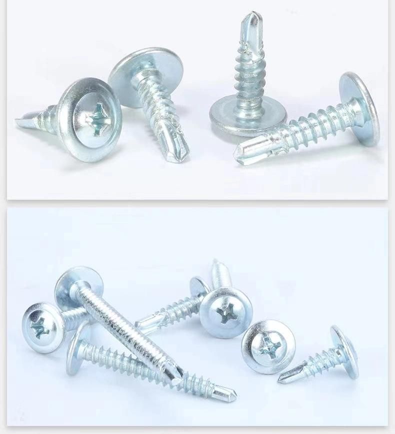 Electrol Galvanized Drill Tail Tapping Screw /Self Tapping Screw/Dovetail Screw
