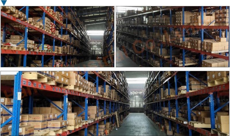 Self Tapping Stainless Steel Deck Square Head Screw
