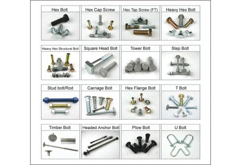 304 Sanitary Fittings Hardware Stainless Steel Hex Bolt and Nut ANSI/Ames B18.2.1 Class 2 Unf Thread Bolt