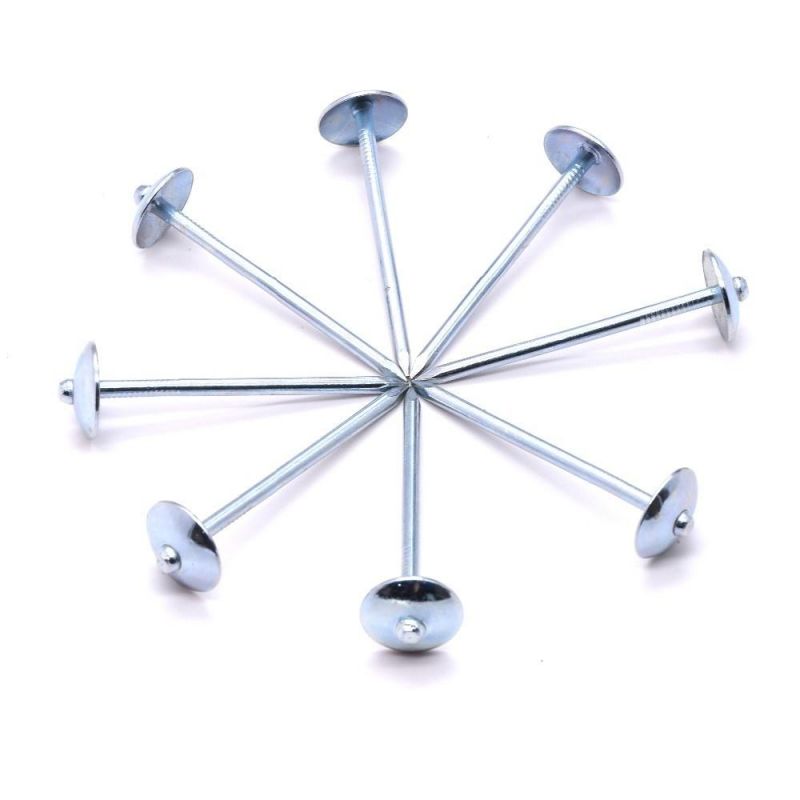 Chinese Factory Supply Umbrella Head Roofing Nails Construction Low Price Galvanized Roofing Nails