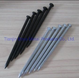 Construction Nails, Steel Concrete Nails, Common Iron Nail for Building Construction