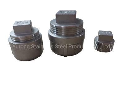 Stainless Steel 304/316 Pipe Fittings, Male Fitting, Square Head Plug