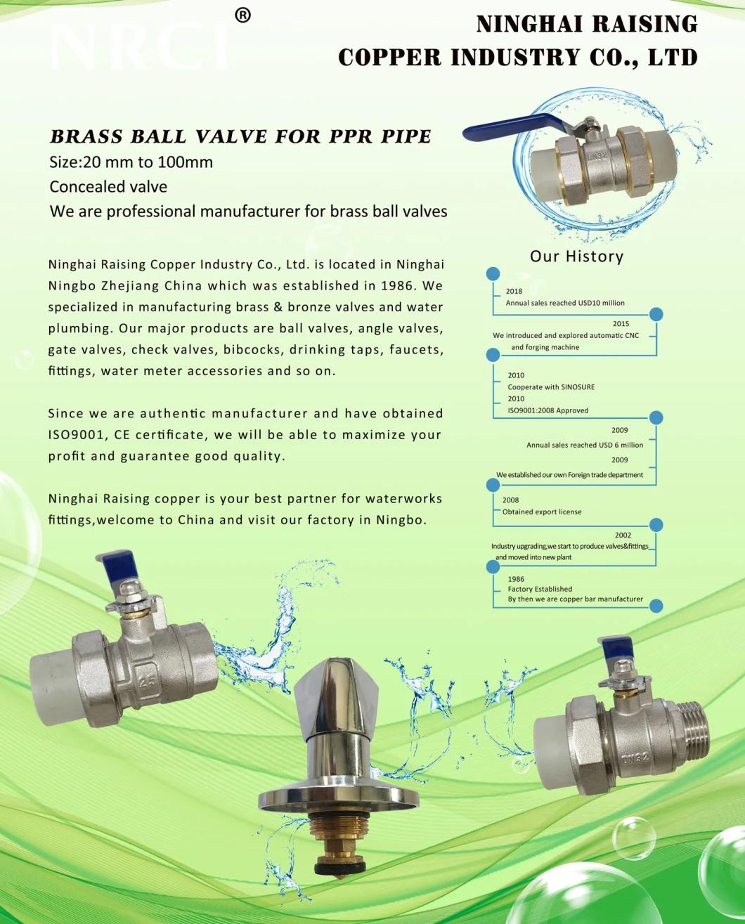 Brass Quick Connector Supplier