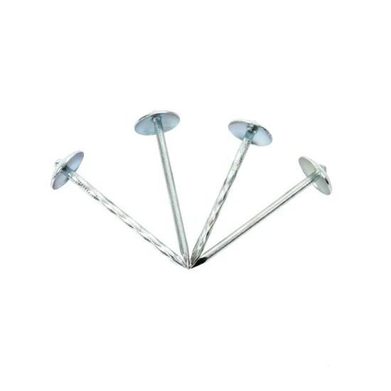 Hot Selling Electric Galvanized Plian Shank Roofing Nail