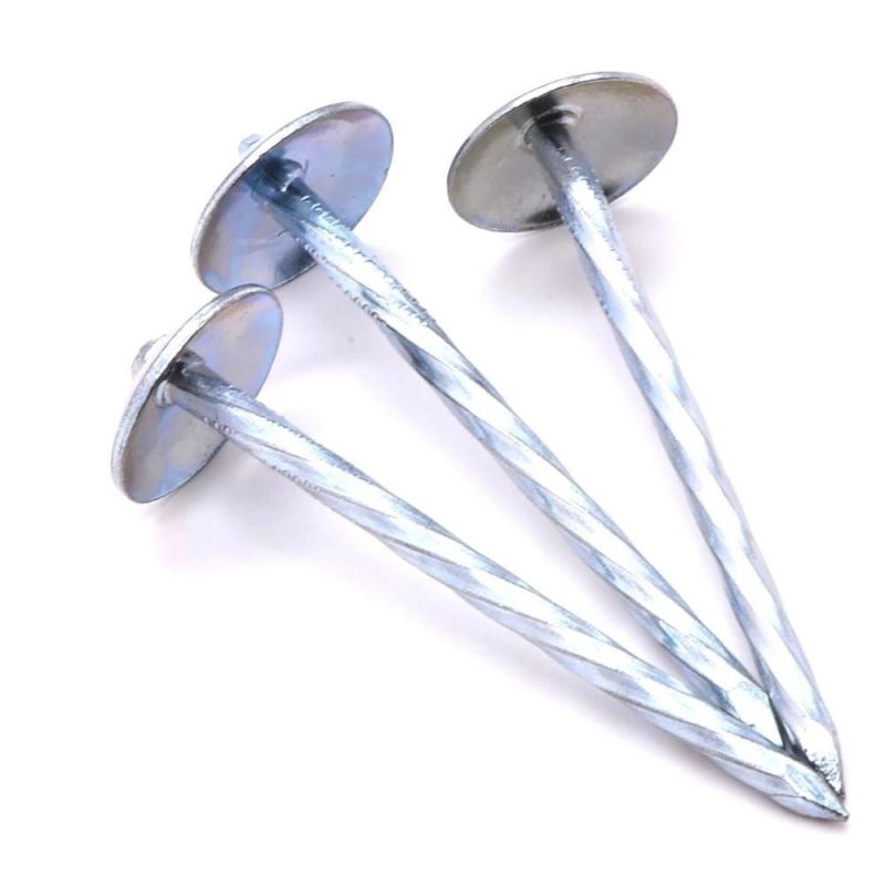 2 Inches, 2.5inch Galvanized Umbrella Head Roofing Nails Exported to Nigeria