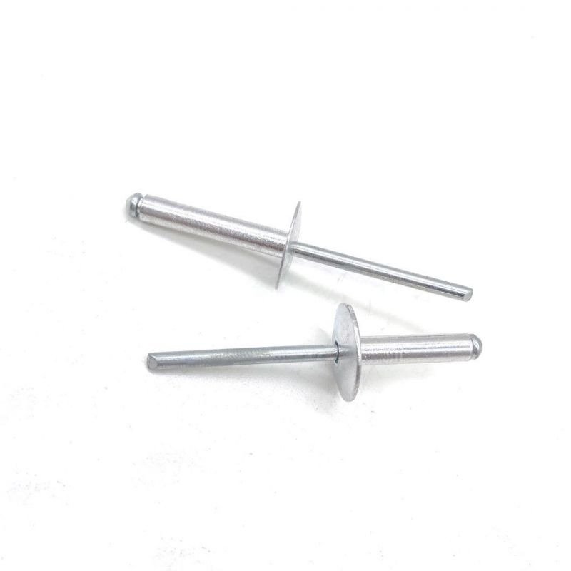 Stainless Steel 304 316 Aluminum Dome Head Flat Head SS304 SS316 Solid Blind Rivet Nut