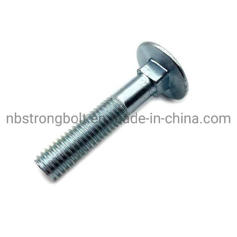 Carriage Bolt Screw with Zinc Plated