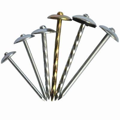 Screw Shank Umbrella Head Roofing Nail in Guangzhou