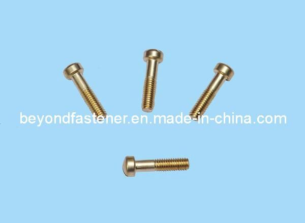 Brass Screw Bolts Pan Head Machine Screw AC Screw Supplier