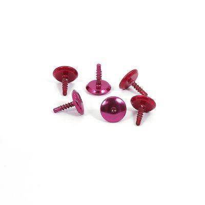OEM ODM Colorful Anodizing Screw Phillips Self Tapping Pan Head M2 M3 M4 Screw
