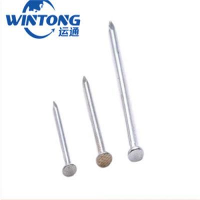 Iron Nail Common Round Nail Foreign Nail for Carpentry