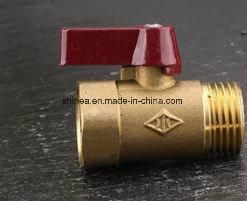 Valves Body