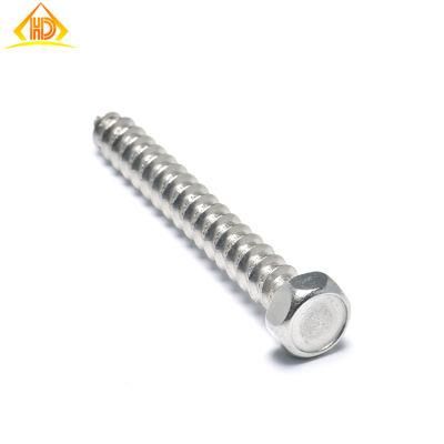 Ss DIN7976 Hex Head Tapping Screw
