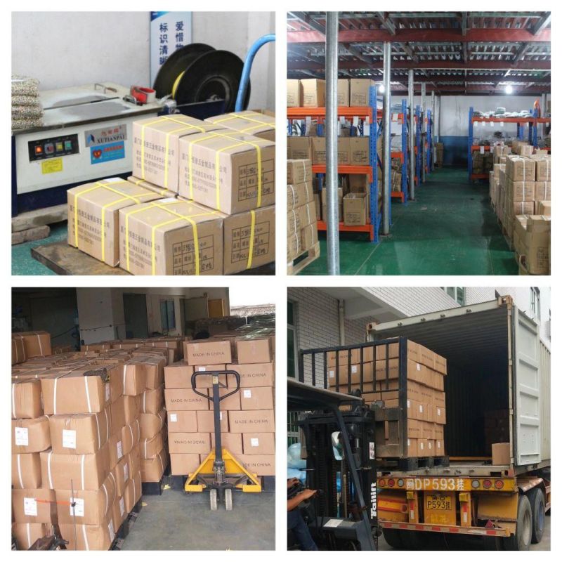 Grade 4.8-8.8 Is Used for Automobile Inner Hexagonal Long Bolts