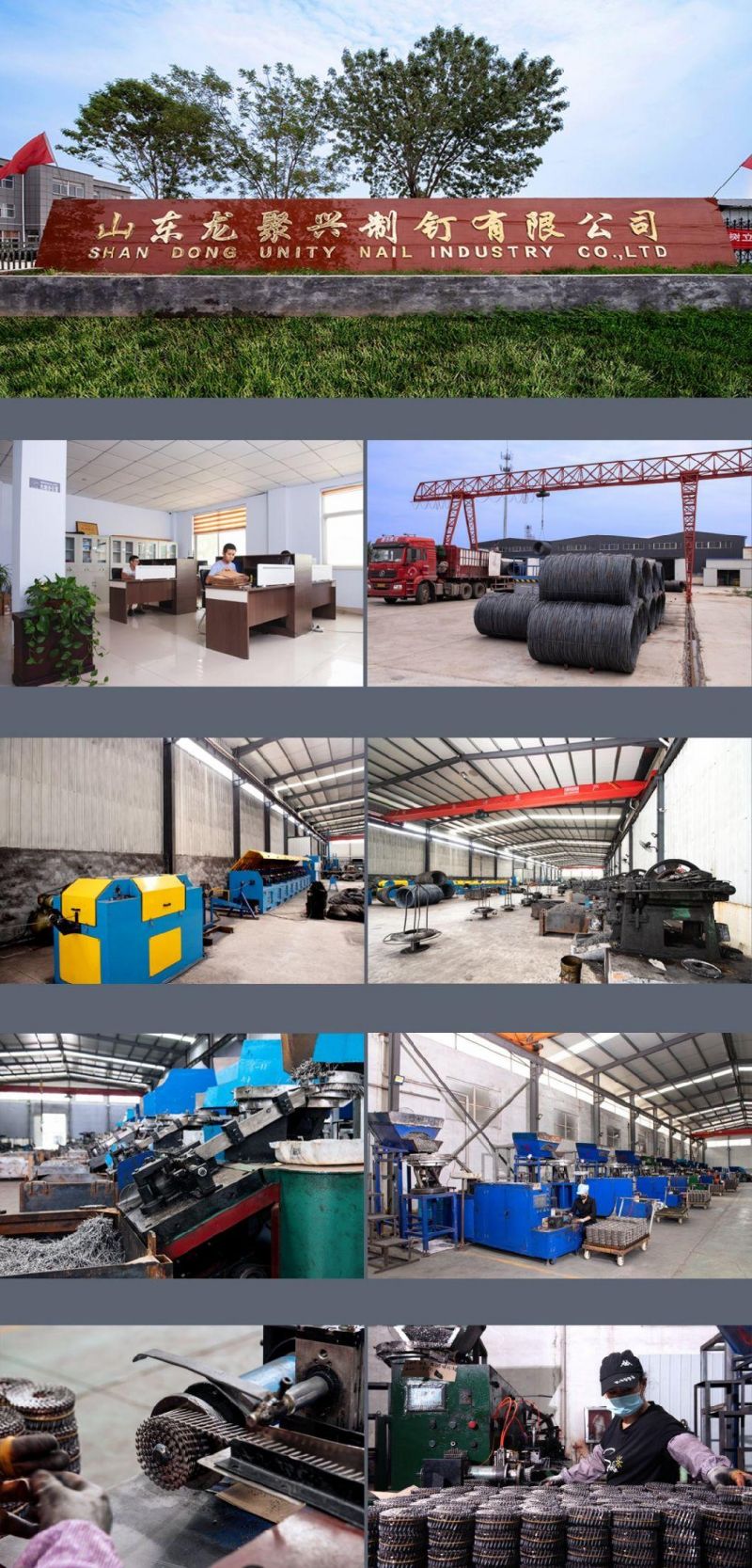 Pneumatic Nailer Coil Nails for Wooden Packaging Box/Pallet From China Dezhou