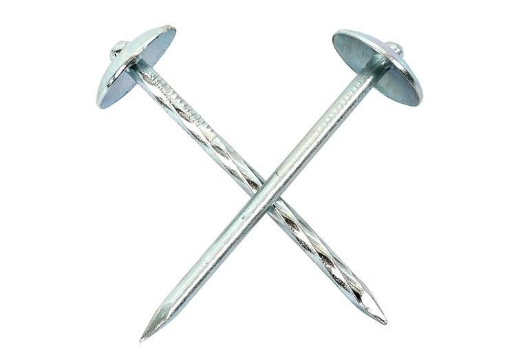 Roofing Nail/Umbrella Nail/Umbrella Head Nail/Clout Nail/Galvanized Roofing Nail