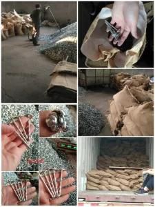 Roofing Nail, Nails, Umbrella Head Nail