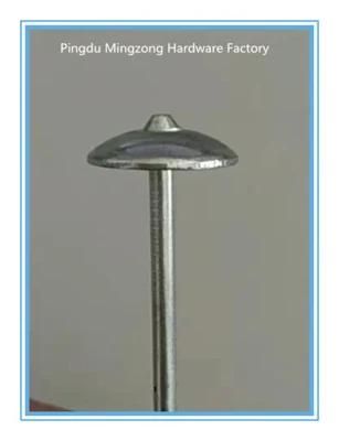 2.5&quot;*Bwg9 Galvanized Roofing Nails for South Africa Eg Nails