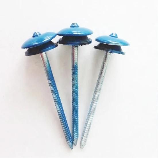 Color Umbrella Head Roofing Nails with Washer Plain Shank, Galvanized Twisted Shank Screw Shank Good Price and Good Quality