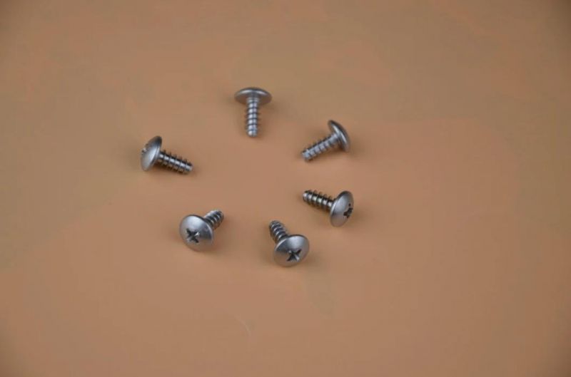 Self Tapping Screw Hex Bolts/ Special Screw/Self Drilling Screw