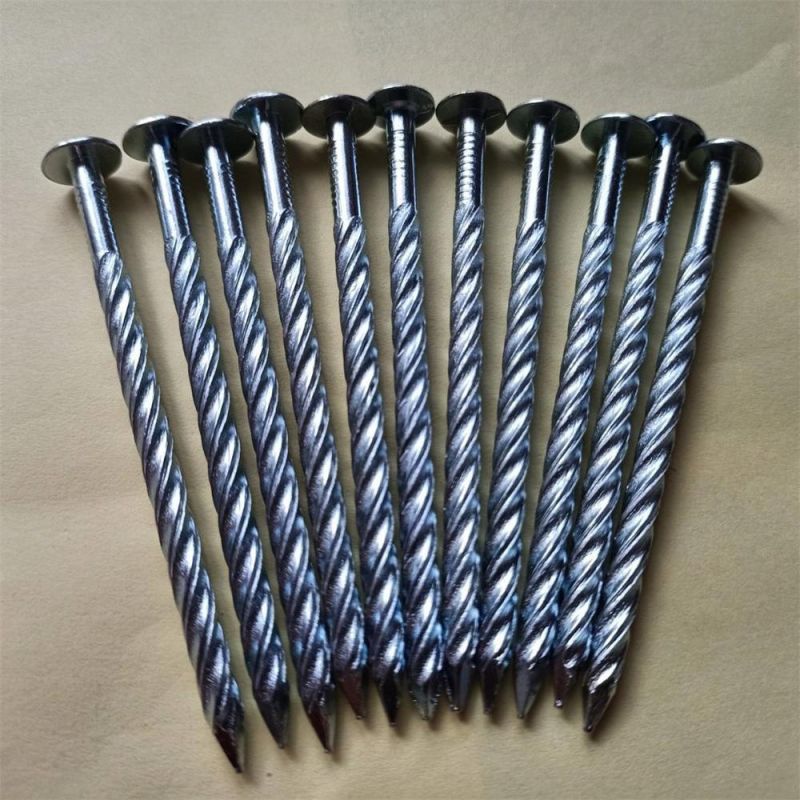 Galvanized Thread Nail Twist Nail/Anti-Theft Mesh Ribbed Nail