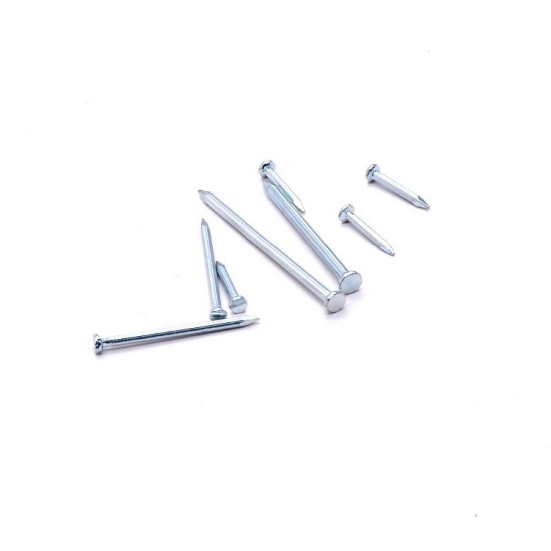 Factory Direct Sales Angular Spiral Steel Concrete Nails 4 Inch Concrete Nails